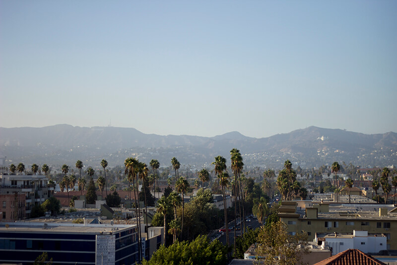 View of Hollywood Hills - The Line Hotel