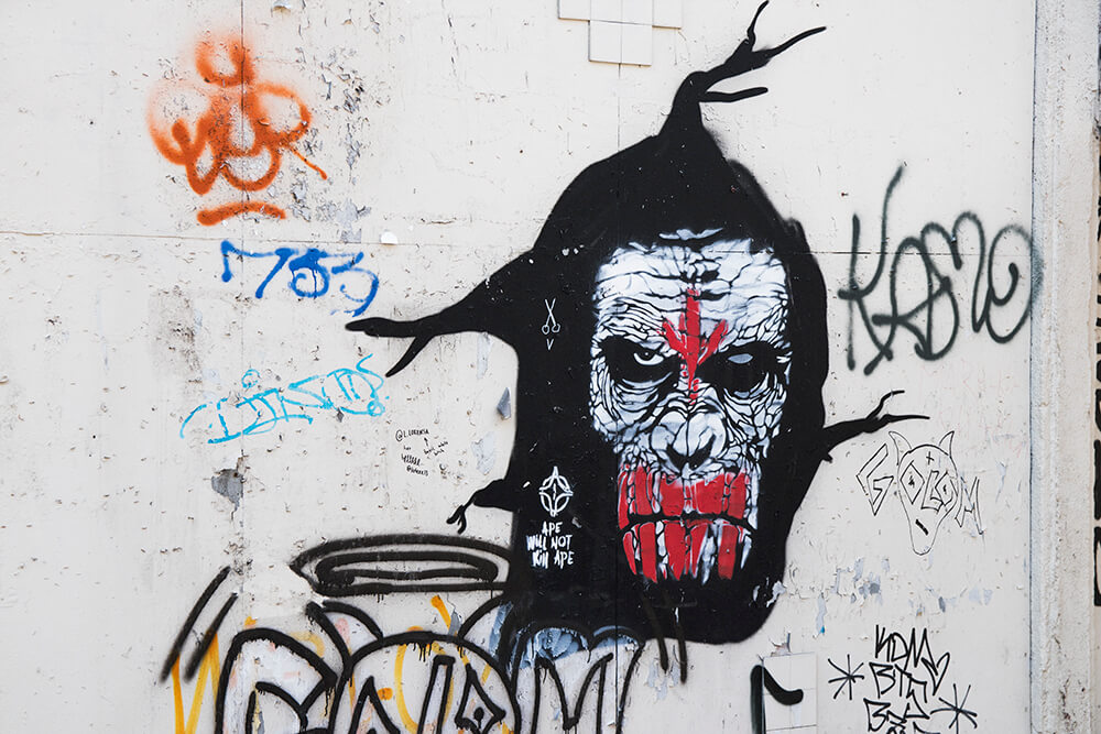 Planet of the Apes Graffiti