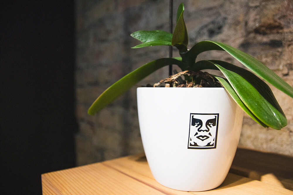 Obey Plant Pot