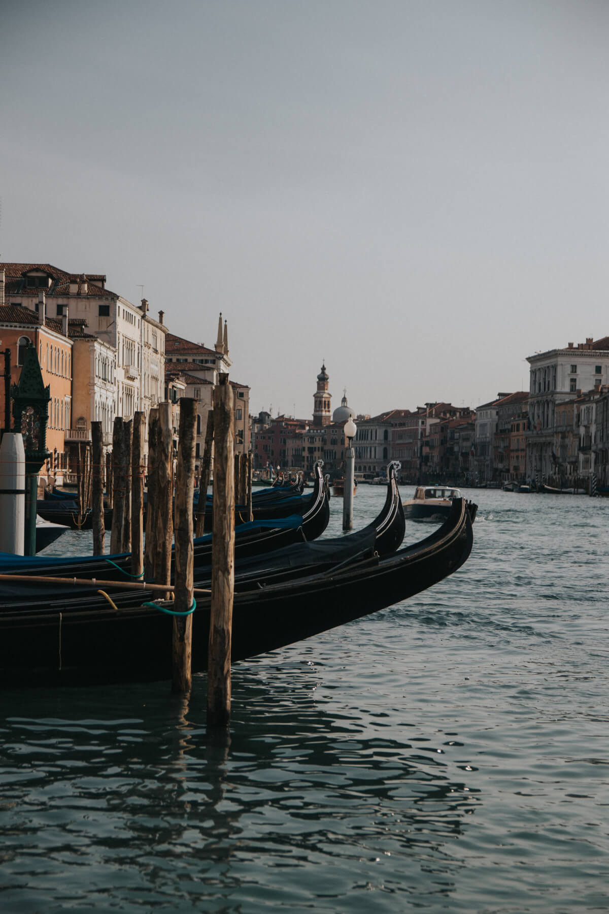 Views in Venice